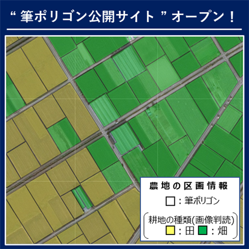 衛星画像から作った農地の区画情報データの公開サイトをオープンしました