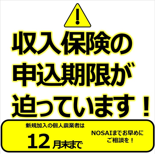 収入保険に加入して良かった！保険金を受け取った方の声をご紹介（千葉県　野菜生産法人）