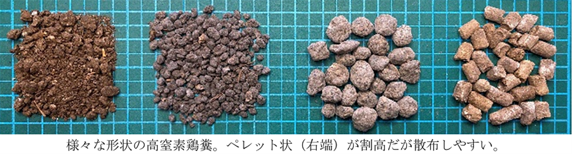 みどり戦略技術紹介：高窒素鶏糞を活用した水稲の減化学肥料栽培