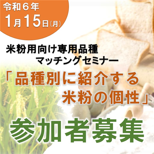 米粉用向け専用品種マッチングセミナー『品種別に紹介する米粉の個性』を開催します！