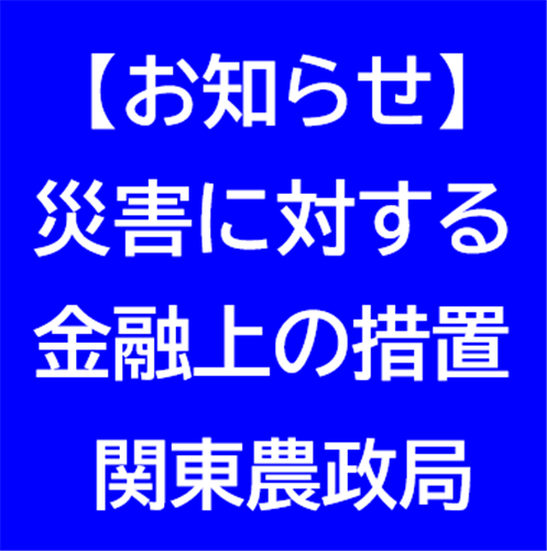 大雨及び台風２号に伴う災害に対する金融上の措置について