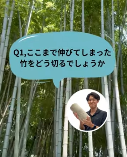 BUZZMAFF「竹のあれこれ知っていますか?」公開中!
