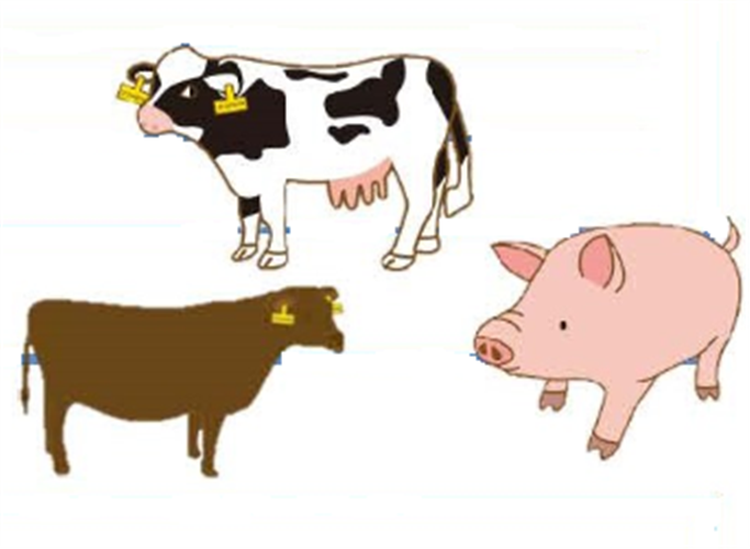 【農業保険】【畜産経営者の皆様へ】家畜の呼吸器病を抑えましょう！