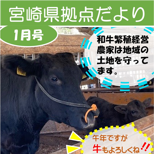 「宮崎県拠点だより №55 1月号」を発行しました!