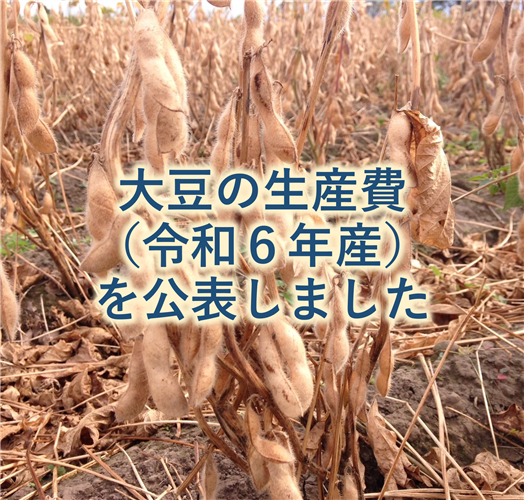 大豆の生産費（令和6年産）を公表しました