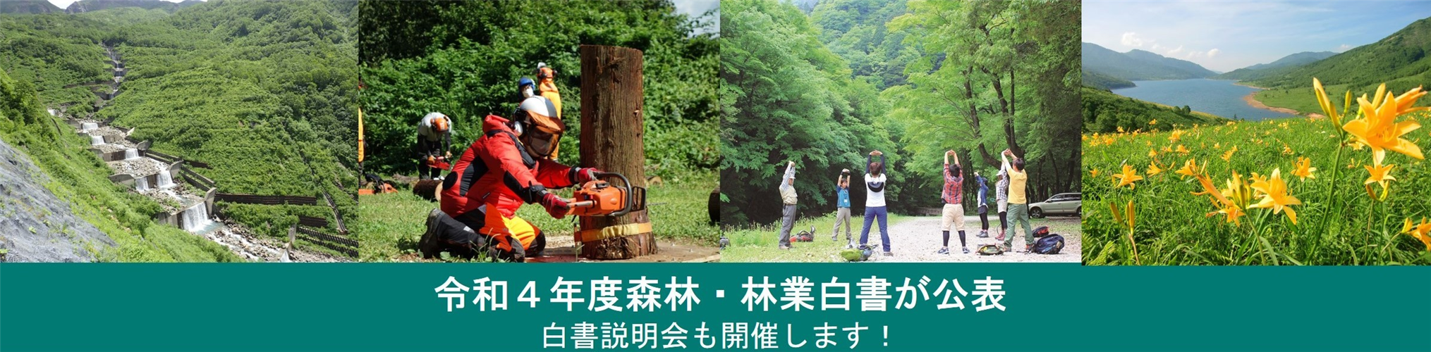 令和4年度 森林・林業白書を本日公表しました～気候変動に対応したこれからの治山対策に注目！