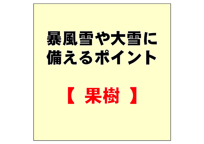 果樹の樹体や資材の点検・補修等を確実に実施し、暴風雪や大雪に備えましょう