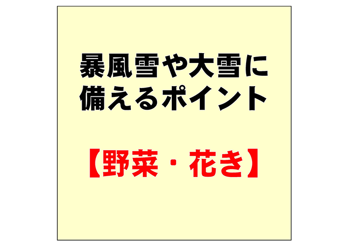 野菜・花きの雪害・寒害対策を確実に実施し、暴風雪や大雪に備えましょう