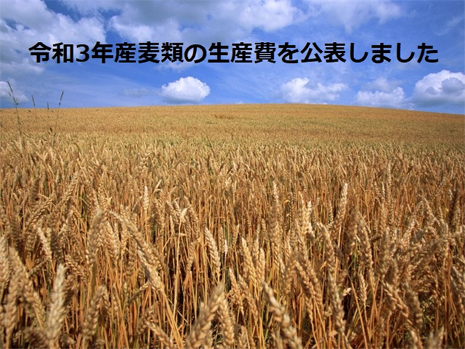 麦類の生産費（令和3年産）を公表しました