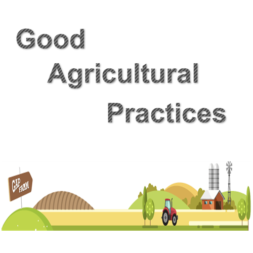 GAP（農業生産工程管理）、有機の事業についてご案内です。