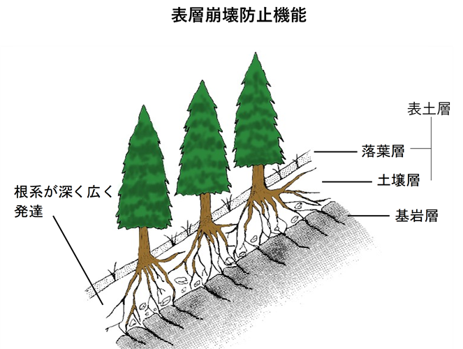 令和4年度森林・林業白書を