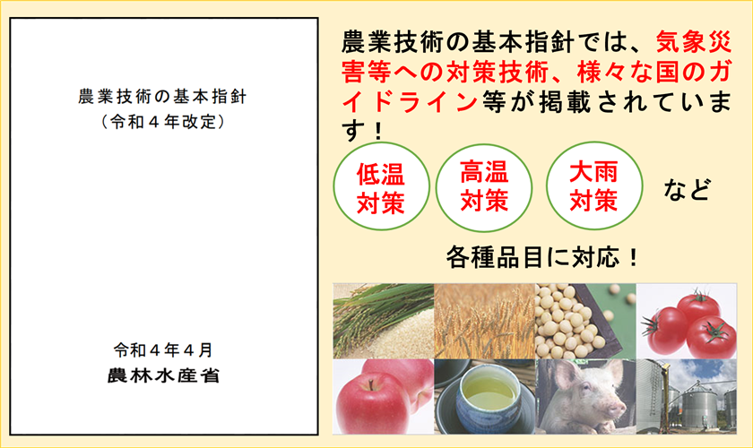 「農業技術の基本指針(令和4年改定)」が公表されました！