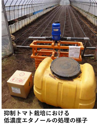 「みどりの食料システム戦略」技術カタログ紹介：低濃度エタノールを用いた土壌還元消毒のご紹介