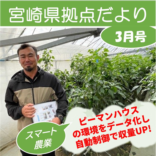 「宮崎県拠点だより No.57 3月号」を発行しました!