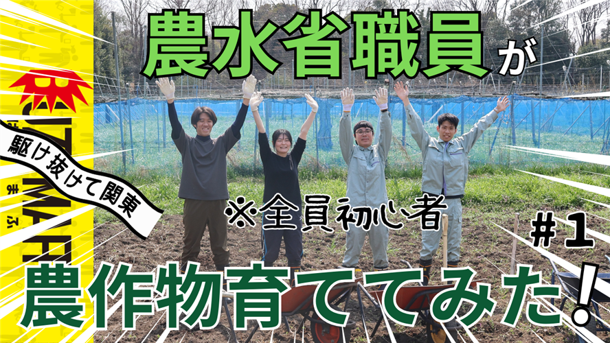 BUZZMAFF【新生駆け抜けて関東、始動】農水省職員が農作物育ててみた！！！