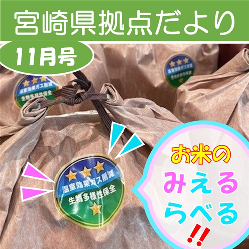 「宮崎県拠点だより No.53 11月号」を発行しました！