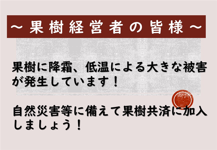 降霜、低温等の被害に備えて果樹共済に加入しましょう！