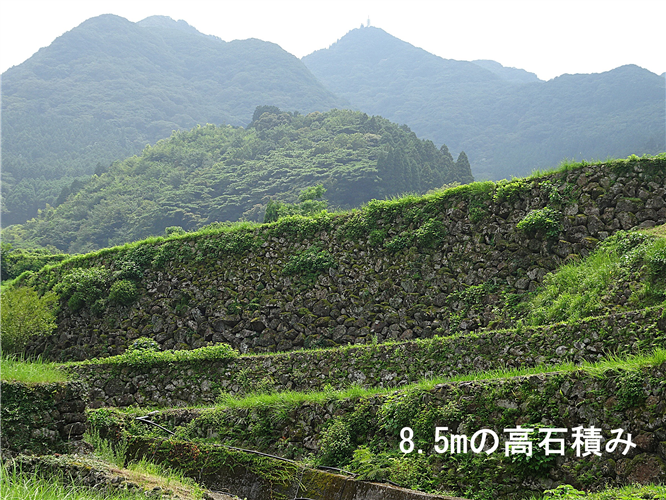 つなぐ棚田遺産「蕨野（わらびの）の棚田」をご紹介（佐賀県唐津市相知町）
