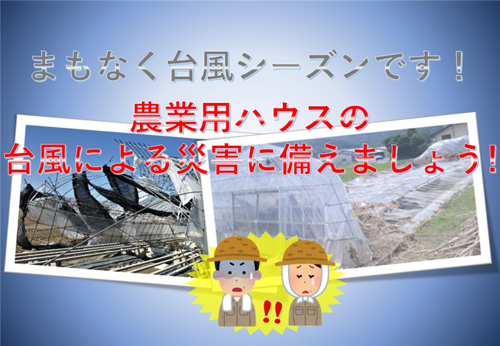 【農業用ハウスをお持ちの農家のみなさん！これからの台風シーズンに備えましょう！】