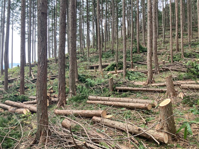 森林環境譲与税を活用した自治体の取組の紹介 Vol.17　岐阜県高山市
