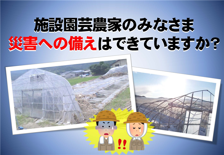 施設園芸農家のみなさま、災害への備えはできていますか？