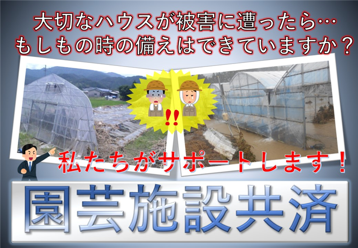 農業用ハウスの災害リスクに備えるなら園芸施設共済にお任せください！