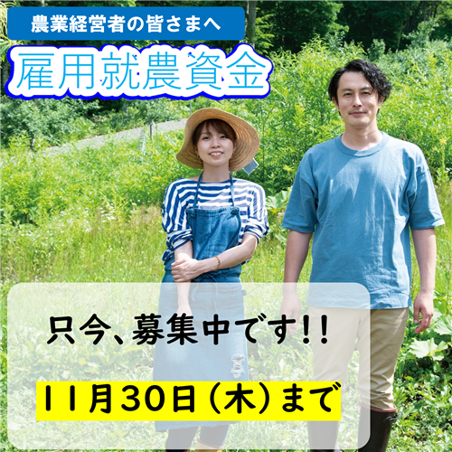 【雇用就農資金の募集開始】49歳以下の就農希望者を新たに雇用する皆様を応援します！