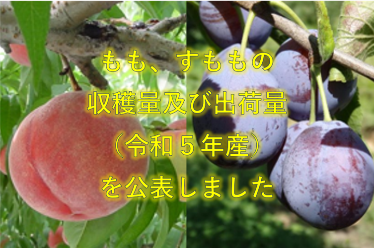 もも、すももの収穫量及び出荷量（令和5年産）を公表しました