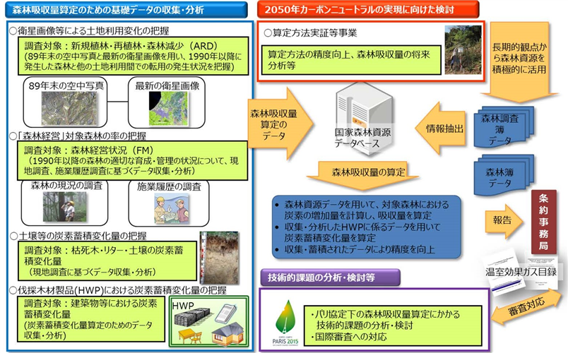 森林吸収源インベントリ情報整備事業の令和４年度の報告書を公表しました