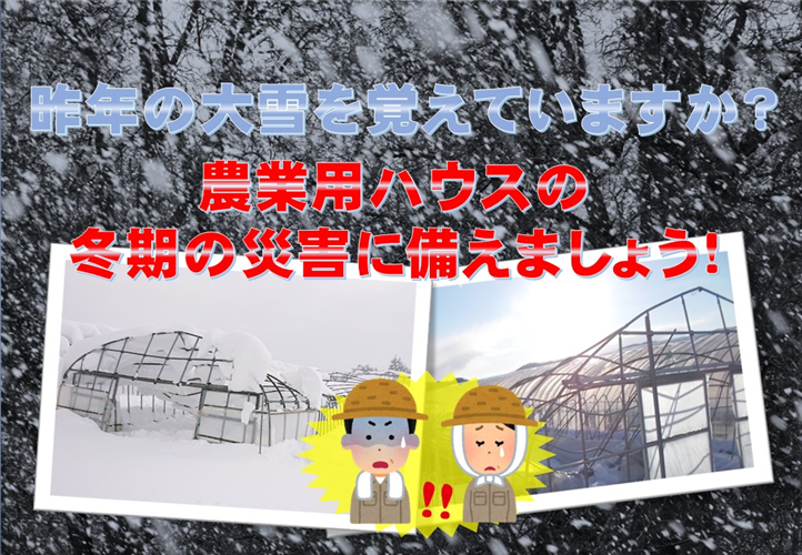 【農業保険】昨年の大雪を覚えていますか？農業用ハウスの冬期の災害に備えましょう！