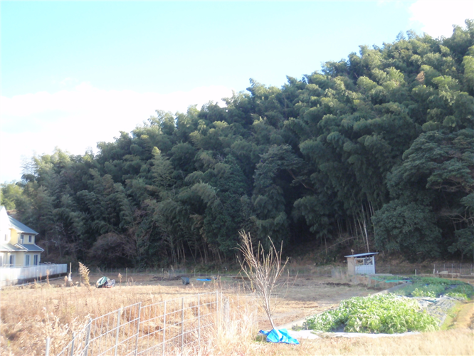 森林環境譲与税を活用した自治体の取組の紹介 Vol.5 福岡県北九州市