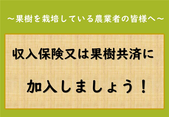 果樹を栽培している農業者の皆様へ　～農業保険（収入保険又は果樹共済）に加入しましょう！