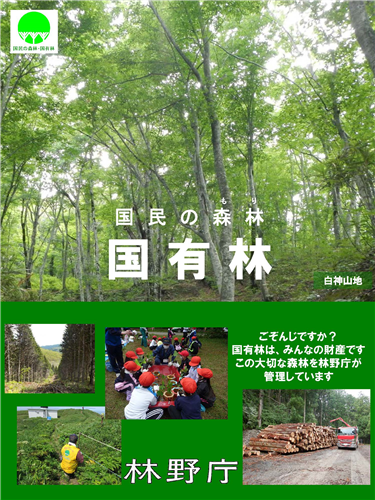 新たなパンフレット「国民の森林 国有林」を公開しました