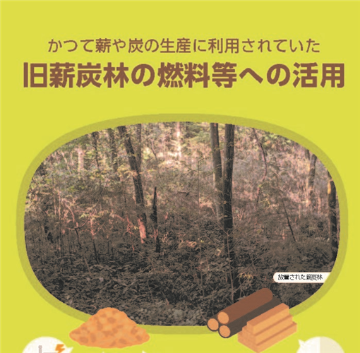 パンフレット「旧薪炭林の燃料等への活用」を公表しました