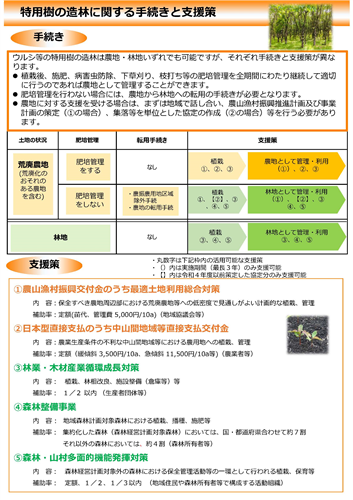 特用樹の造林に関する手続きと支援策をまとめました