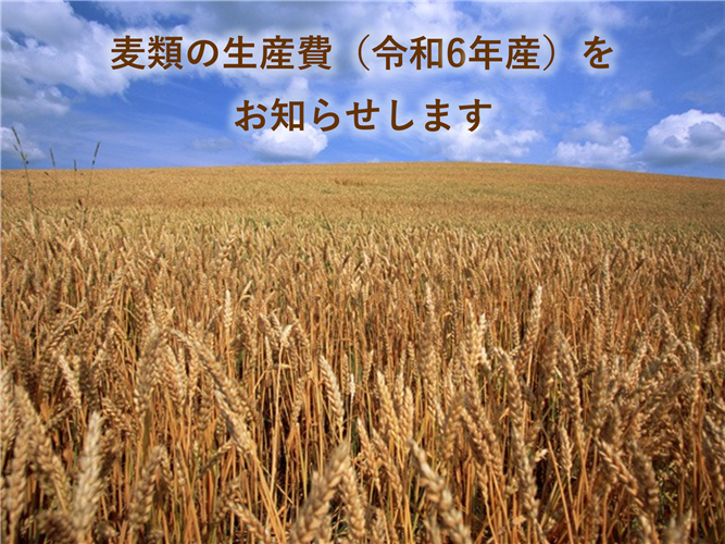 麦類の生産費（令和6年産）をお知らせします