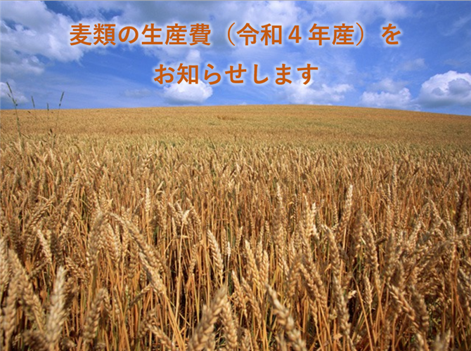 麦類の生産費（令和4年産）をお知らせします