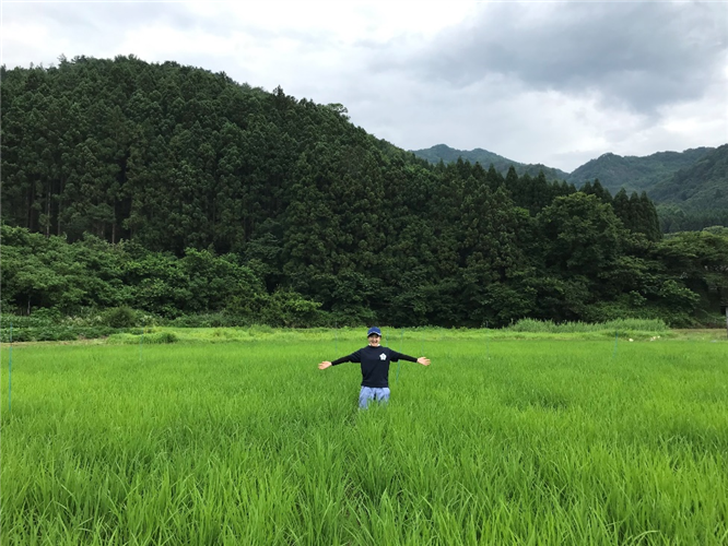 【関東農政局×若者】【緑肥の効果に期待！】学生チャレンジのご紹介～学生たちの農業革命～第13弾！