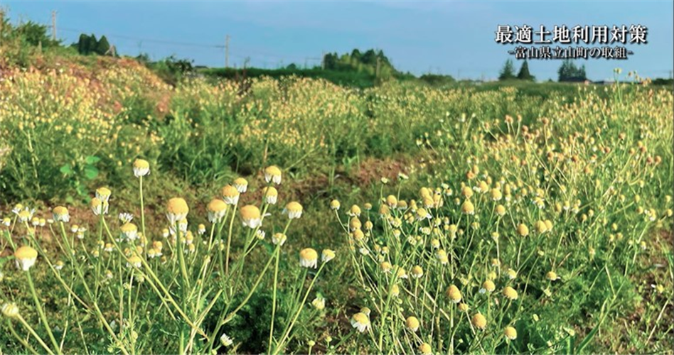 【事例動画】地域の農地が生まれ変わる！最適土地利用対策【富山県立山町編第2弾】