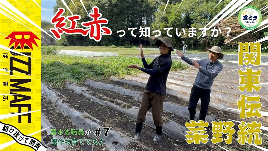 BUZZMAFF「紅赤って知っていますか？」【関東農政局】公開中！