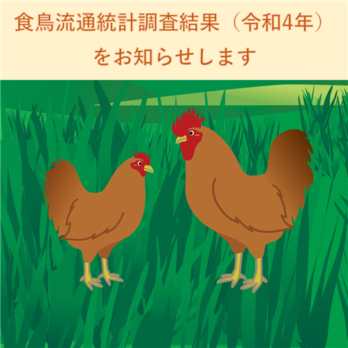 食鳥流通統計調査結果（令和4年）をお知らせします