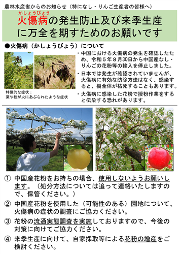 【なし・りんご生産者の皆様へ】中国における火傷病発生に伴う対応