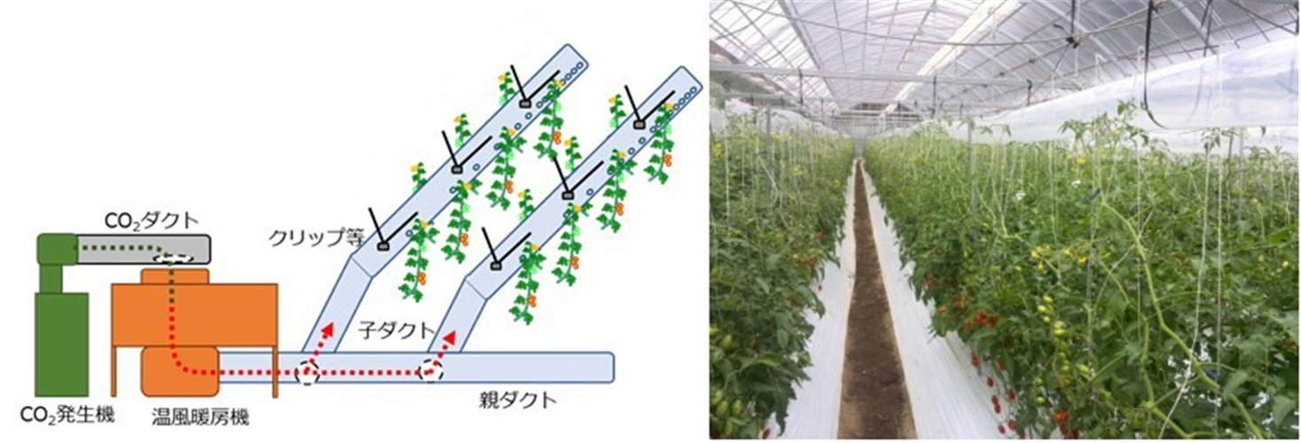 選ばれたのは…！？「最新農業技術・品種2021選定成果のご案内」 vol.5