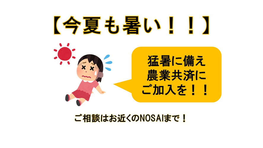 【今夏も暑い！！】猛暑に備え農業共済へご加入を！！