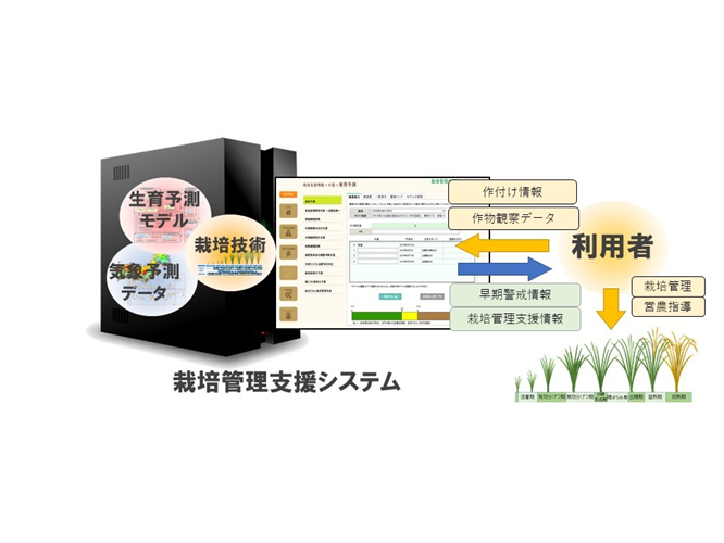 選ばれたのは…！？「最新農業技術・品種2020選定成果のご案内」 vol.10