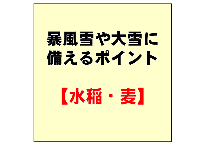 水稲の施設点検や麦の低温対策等を確実に実施し、暴風雪や大雪に備えましょう