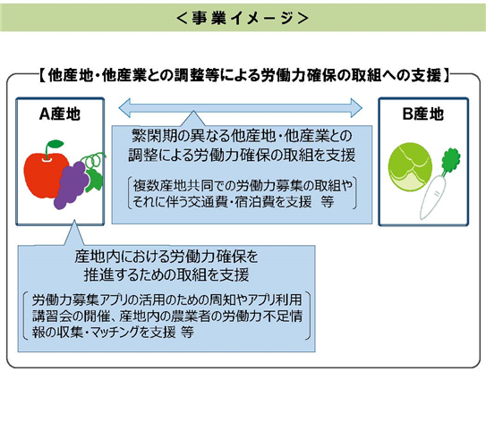 労働力確保に取り組む産地を応援します（令和４年度第２次補正予算）