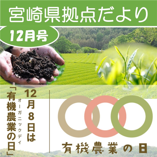 「宮崎県拠点だより No.54 12月号」を発行しました!