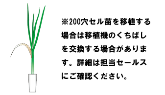 ATOUN MODEL Y【AWN-12】