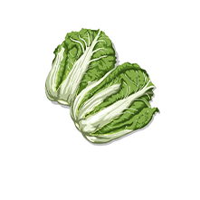 オートセルトレイ播種機